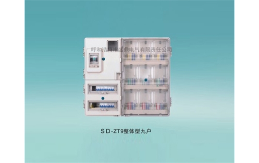 單相整體型電表箱-SD-ZT9整體型九戶